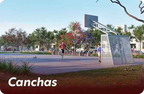 canchas