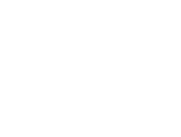 Viñedo2